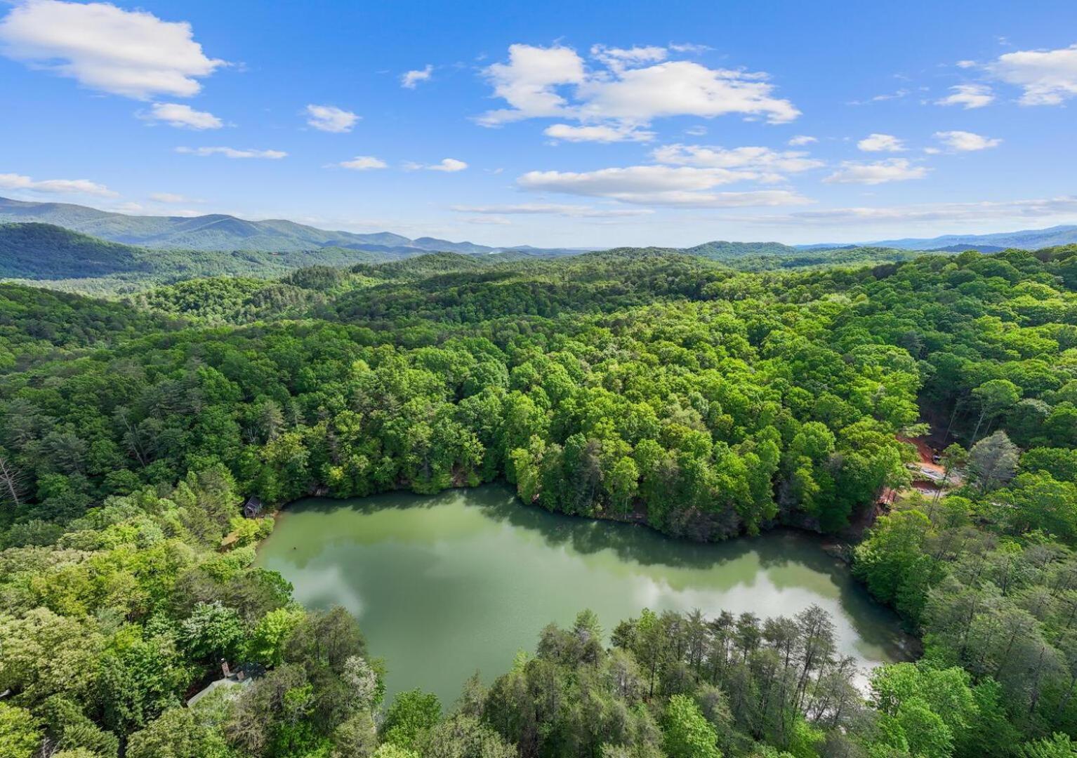Cherry Lake Hideaway Блу Ридж Екстериор снимка
